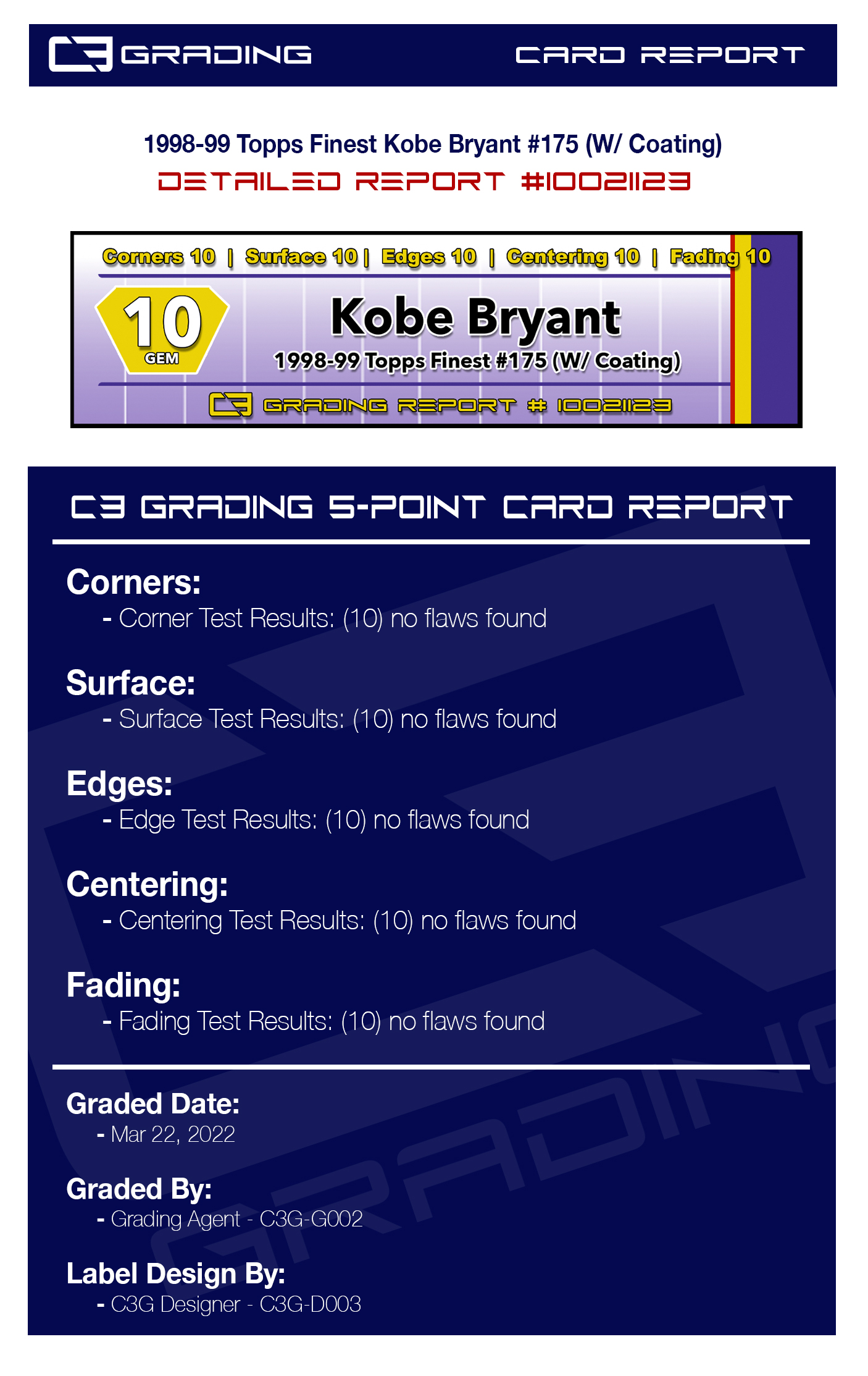 report-10021123.jpg