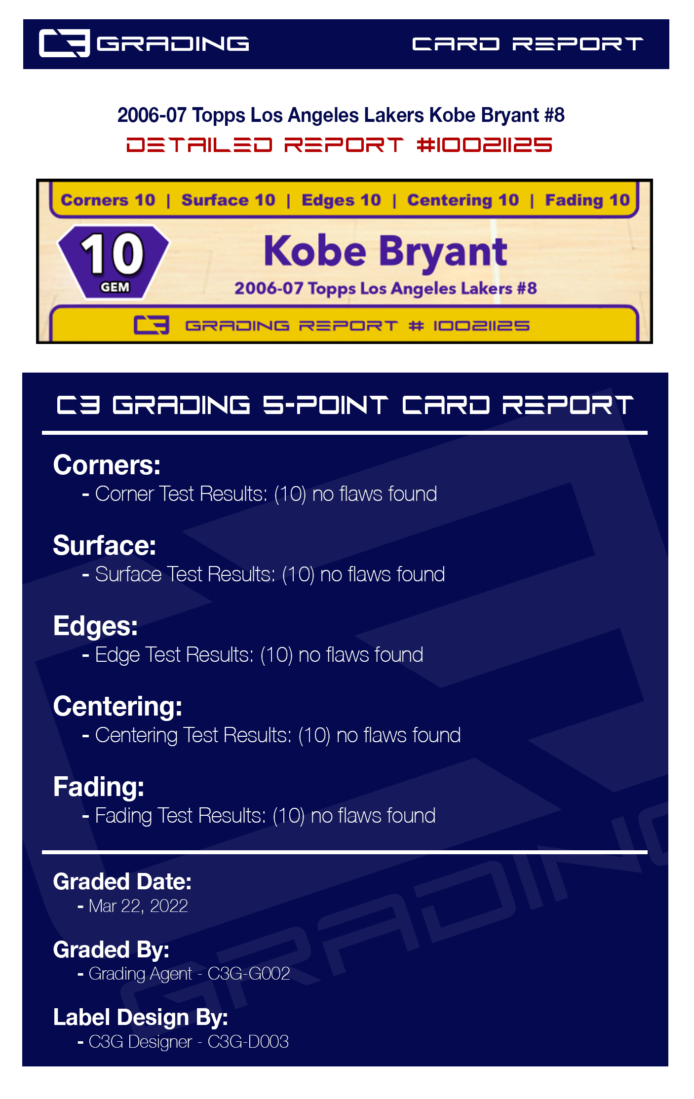 report-10021125.jpg