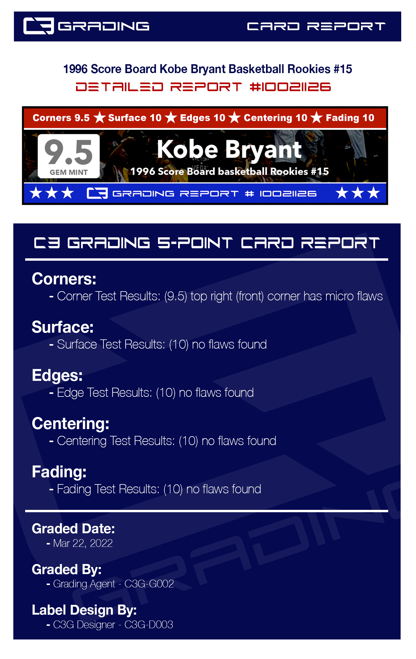 report-10021126.jpg