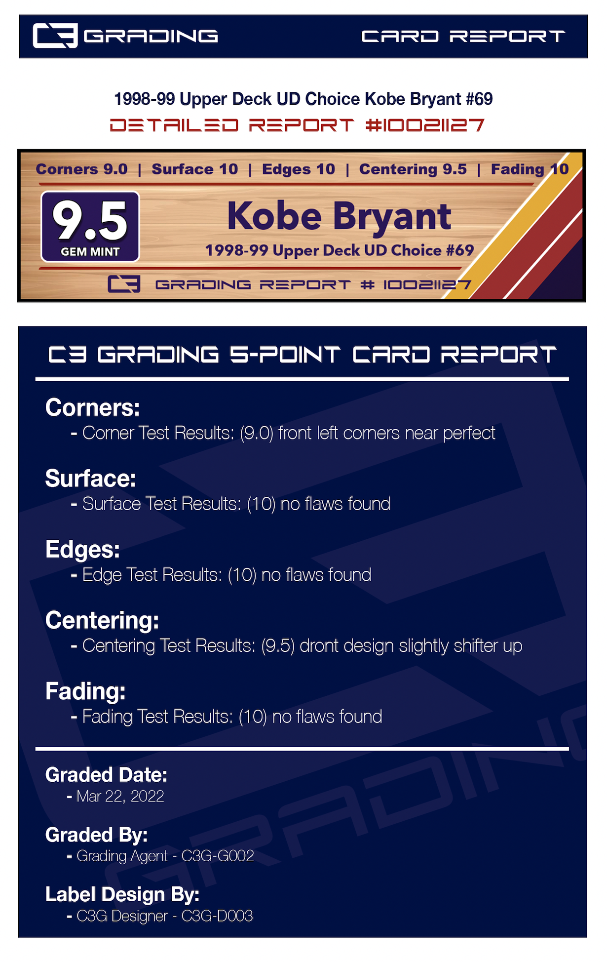 report-10021127.png
