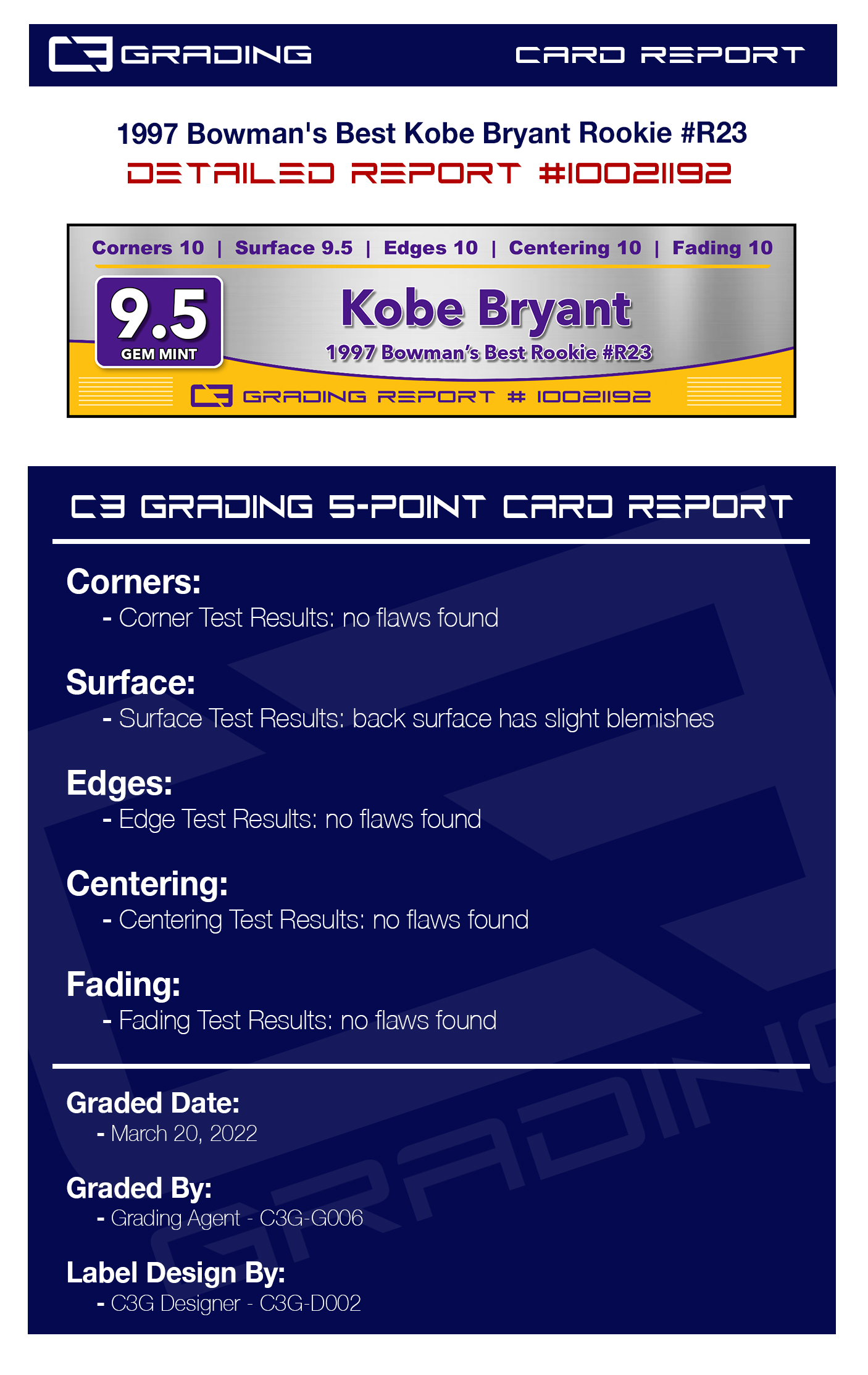 report-10021192.jpg