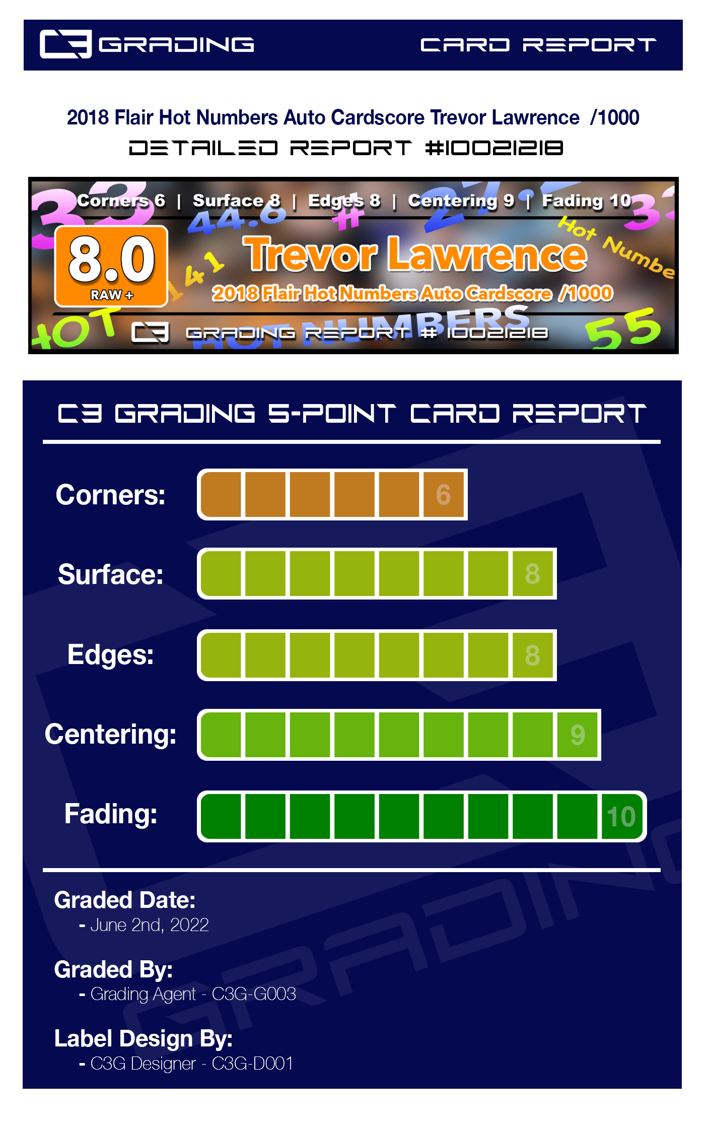 report-10021218.jpg