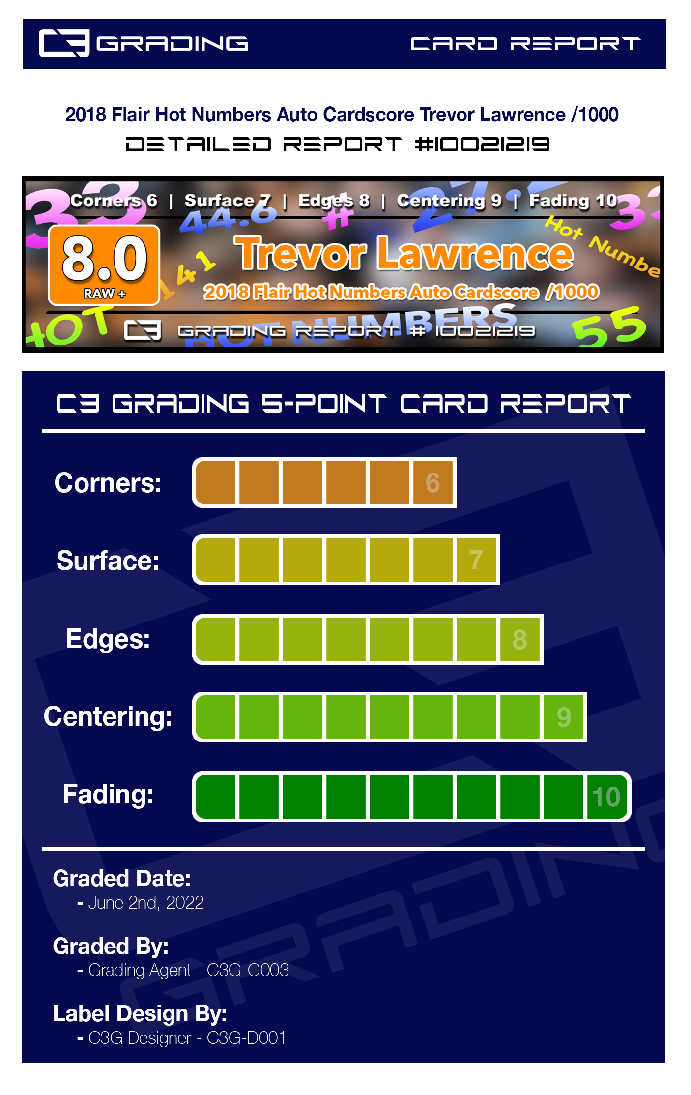 report-10021219.jpg