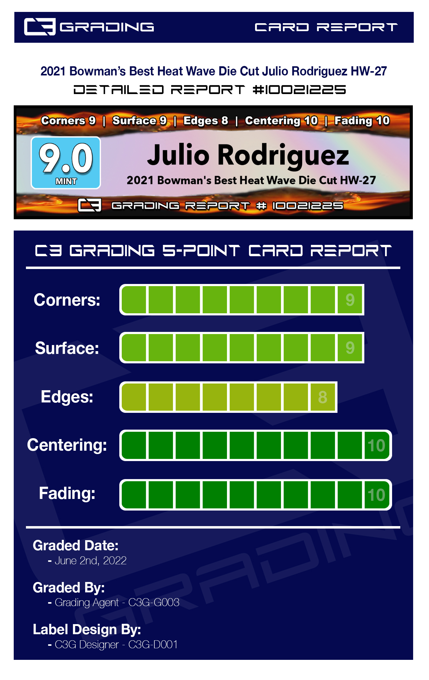 report-10021225.jpg