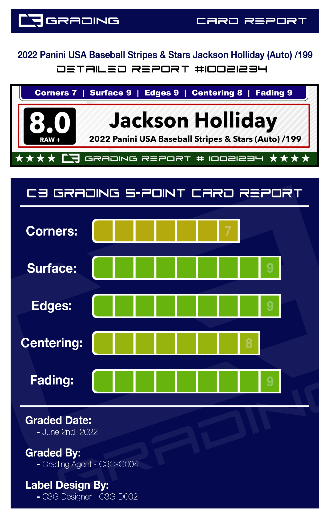 report-10021234.jpg
