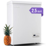 2.5 Cubic Feet Chest Freezer with Adjustable Temperature Controls