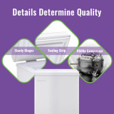 2.5 Cubic Feet Chest Freezer with Adjustable Temperature Controls