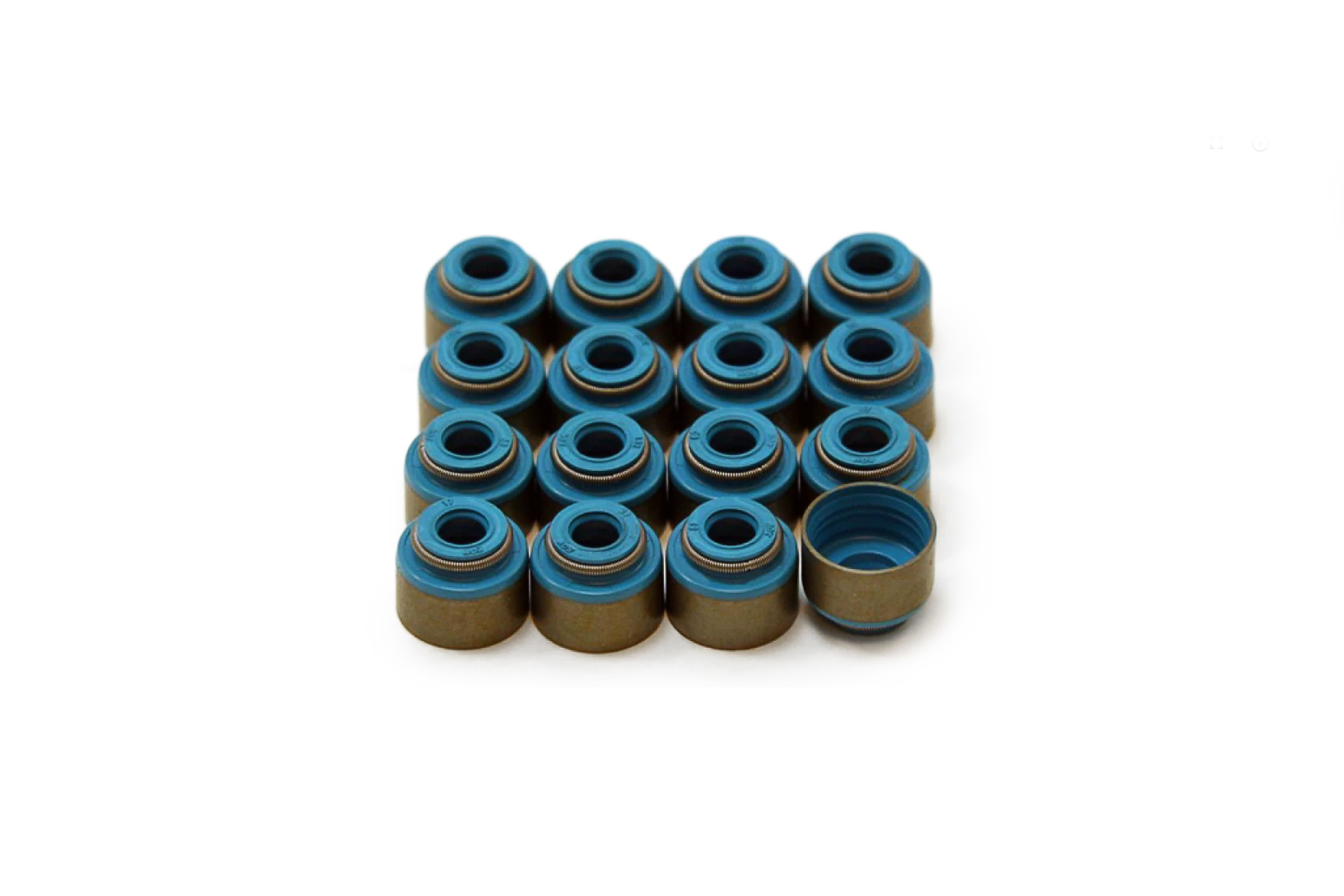 GSC Valve Stem Seal Kit (DSM/Evo 8/9) Boostin Performance