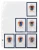 9 Pocket Binder Pages (100 CT)