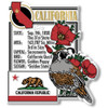 California State Montage Magnet, Collectible Souvenirs Made in the USA