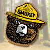 Smokey Bear Head Magnet by Classic Magnets, Collectible Souvenirs Made in the USA