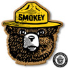 Smokey Bear Head Magnet by Classic Magnets, Collectible Souvenirs Made in the USA