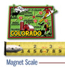 Colorado Colorful State Magnet, Collectible Souvenir Made in the USA