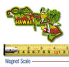 Hawaii Colorful State Magnet, Collectible Souvenir Made in the USA