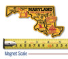 Maryland Giant State Magnet, Collectible Souvenir Made in the USA