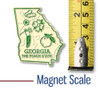 Georgia Small State Magnet, Collectible Souvenir Made in the USA