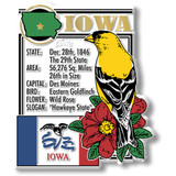 Iowa Magnets