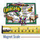 Colorado Jumbo State Magnet , Collectible Souvenirs Made in the USA