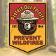 Smokey Bear 'Protect Our Forests' Magnet by Classic Magnets, Collectible Souvenirs Made in the USA