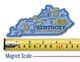 Kentucky Giant State Magnet, Collectible Souvenir Made in the USA