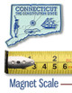 Connecticut Small State Magnet, Collectible Souvenir Made in the USA