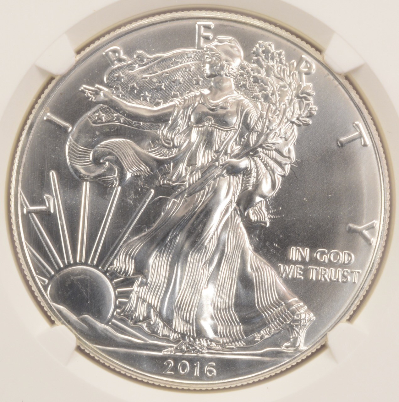 2016 $1 Silver Eagle Clashed Dies Obverse & Reverse NGC MS69