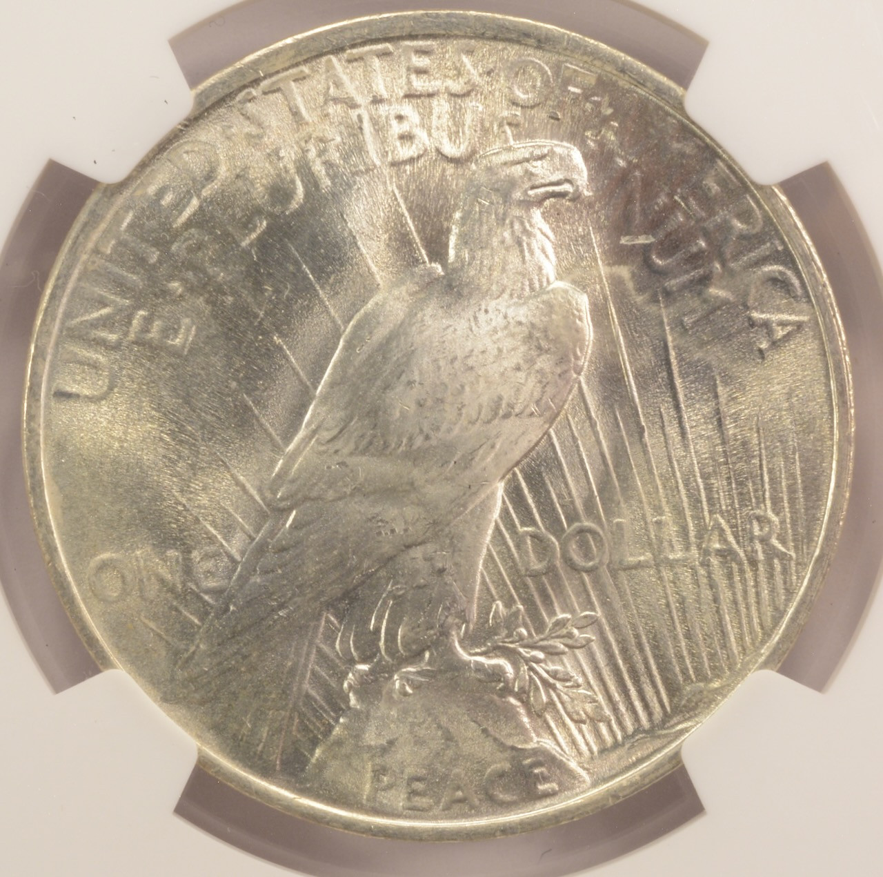 BLUE ENCOUNT master Peace 貴重！入手困難！ 1923 $1 Peace Dollar Obverse Struck Thru NGC MS63