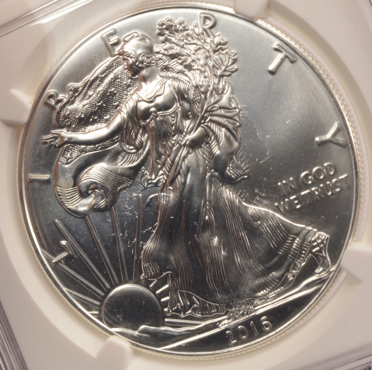 激レア 入手困難 EAGLE DOCTOR パッチ 2016 $1 Silver Eagle Clashed Dies Obverse & Reverse NGC MS68
