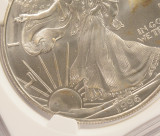 (3 Coin Set) 1996 $1 Silver Eagle 3-Coin Progression Set Struck Through MS68/69