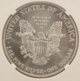 1999 $1 Silver Eagle Strike Thru Obverse NGC MS69 1999 $1 Silver Eagle Strike Thru Obverse NGC MS69