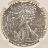 2020 $1 Silver Eagle Struck Thru Obverse NGC MS69