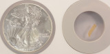 1999 $1 Silver Eagle (2 Piece Set) Struck Thru & Retained 2-Piece Set NGC MS69