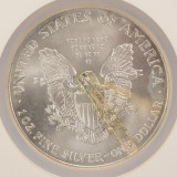 1999 $1 Silver Eagle (2 Piece Set) Struck Thru & Retained 2-Piece Set NGC MS69