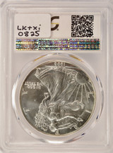 1998 $1 Silver Eagle Large Struck Thru Plastic Reverse PCGS MS67