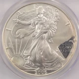 2006 $1 Silver Eagle 2-Coin Mated Pair Struck Thru & Plastic PCGS MS67
