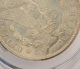 1921 $1 Morgan Dollar Struck Through Reverse PCGS MS63