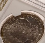 1881-CC $1 Morgan Dollar Partial Collar NGC MS64
