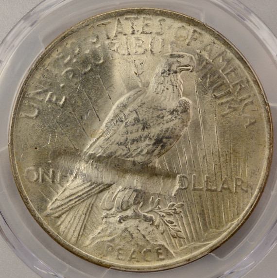 1922 $1 Peace Dollar Struck Thru Reverse PCGS MS62