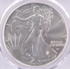 2022 PCGS $1 Silver Eagle Struck Thru Retained Plastic Obverse MS69