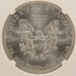 2015 $1 Silver Eagle Obverse Struck Thru NGC MS69