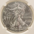 2015 $1 Silver Eagle Obverse Struck Thru NGC MS69