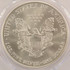 2001 $1 Silver Eagle Struck Thru Plastic Obverse PCGS MS69