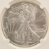 1999 $1 Silver Eagle Strike Thru Obverse NGC MS69