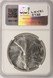 1989 1 Silver Eagle Struck Thru Plastic Reverse NGC MS67