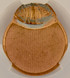 1992 1c Lincoln Cent Struck 80% Off-Center CACG MS62 Red