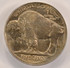 1919 5c Buffalo Nickel Broadstruck PCGS MS62