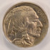 1919 5c Buffalo Nickel Broadstruck PCGS MS62