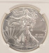 2020-P $1 Silver Eagle Clip at K-11:30 NGC MS-69