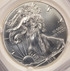 2016 $1 Silver Eagle Clashed Dies Obverse & Reverse NGC MS69