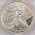 2006 $1 Silver Eagle 2-Coin Mated Pair Struck Thru & Plastic PCGS MS67